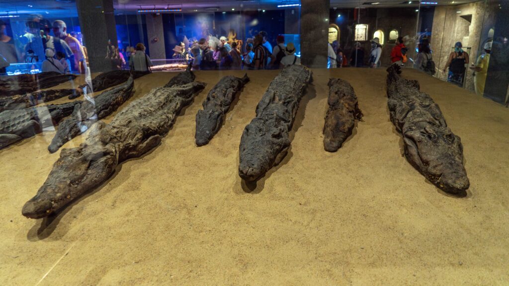 Además de super interesante, el Museo de Las Momias de Cocodrilos, en Kom Ombo, es el refugio perfecto de los más de 40 grados Centígrados de temperatura otoñal