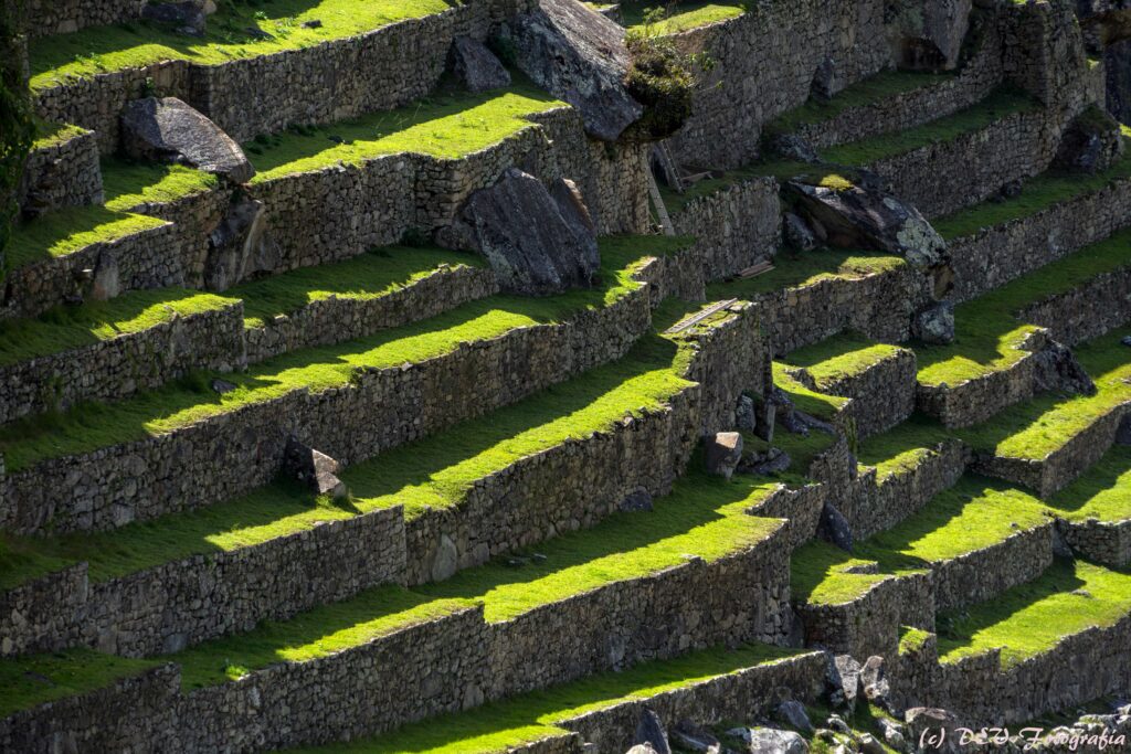Milenarias terrazas de cultivo son la vista típica en los claros de la selva, durante el ascenso por el camino Inca